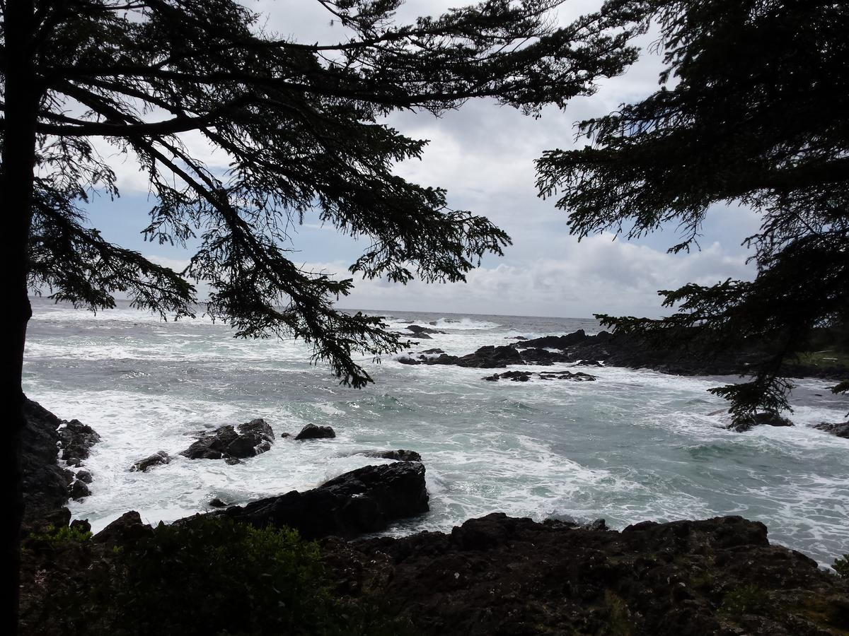 Odyssey Shores Guest Suite Ucluelet Exteriör bild