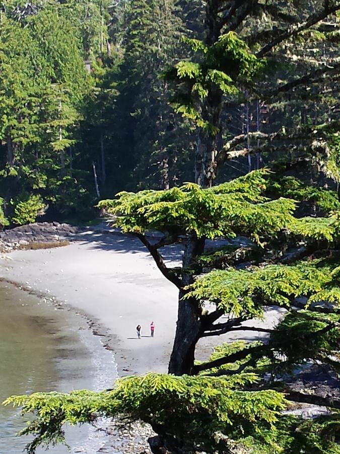 Odyssey Shores Guest Suite Ucluelet Exteriör bild