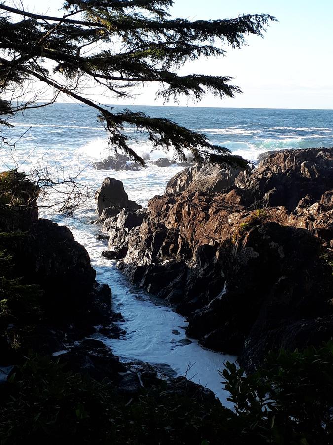 Odyssey Shores Guest Suite Ucluelet Exteriör bild