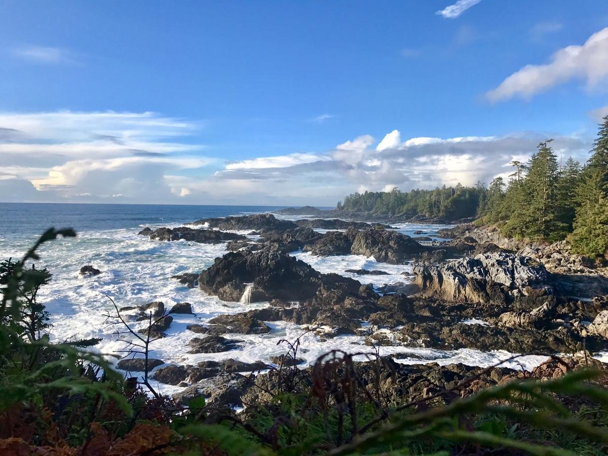 Odyssey Shores Guest Suite Ucluelet Exteriör bild