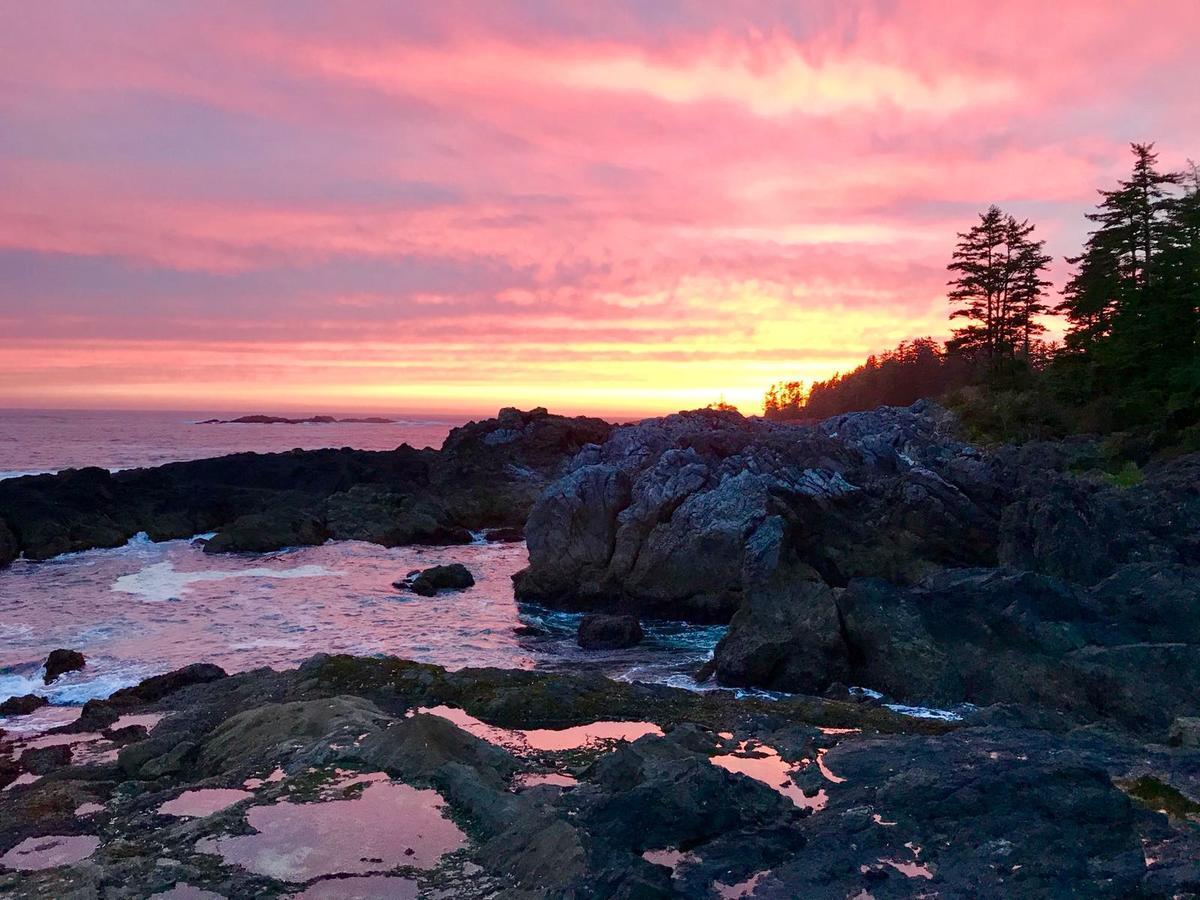 Odyssey Shores Guest Suite Ucluelet Exteriör bild