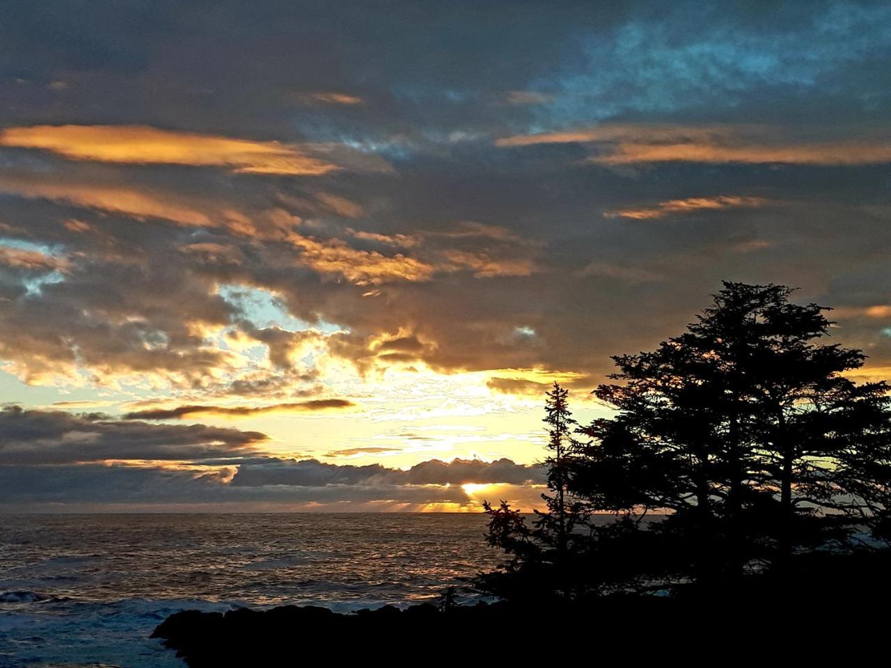 Odyssey Shores Guest Suite Ucluelet Exteriör bild